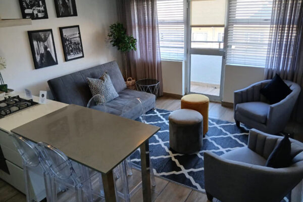 Luxury Apartments Living Area Luxury Apartments Living Area
